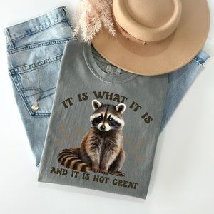 It Is What It Is | Comfort Colors Graphic Tee